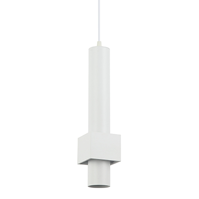 CH–GP602F – D=60,H=300  – WH