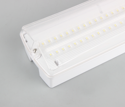 JN 860 - EMERGENCY LIGHT NON MAINTAINED 3HRS 220V 50/60Hz